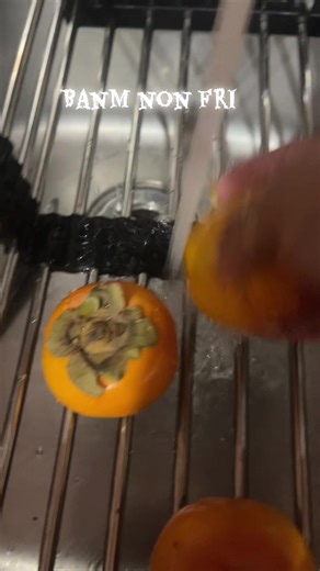 #fanmcreolTR69 #Innotech-hyd#stainlesssteelhangingdishr#tiktokshopfind #TeamofTomorrow