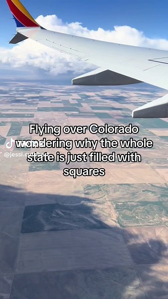 Like even the state outline is a square?? #squarebob #fyp | Colorado