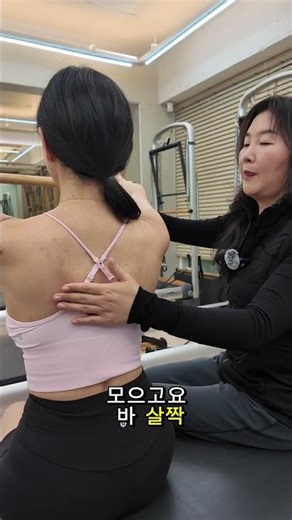 숏박스 시리즈에서의 등 연결 제대로 가르치기 (rib to scapula 등과 날개뼈 연결) 어깨 제대로 쓰는법 #peakpilates