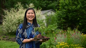 Bonsai trees combine art, nature, family for Long Islanders