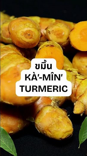 Essential knowledge for cooking Thai food! Names of the most commonly used herbs.🌶️#learnthai