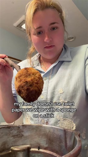 Sponge on a Stick: Family Toilet Hygiene Hack Explained