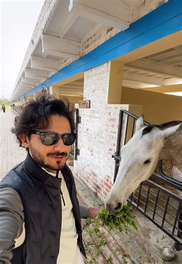 Horse Stables for Rent at Zacky Farms Lahore