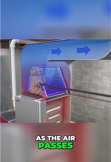 Understanding How Your HVAC System Keeps You Cool