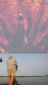 Our latest YouTube upload talks about how to dial in your forward facing sonar to get the best picture in both perspective and forward modes. Check it out now on the FishUSA YouTube channel! . #FishUSA #AmericasTackleShop #Bass #Smallmouth #Livescope #FFS #Garmin #Perspective | FishUSA