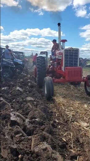 International Harvester 1206 Plowing at the Half Century of Progress Show '25 #farmer #farmlife