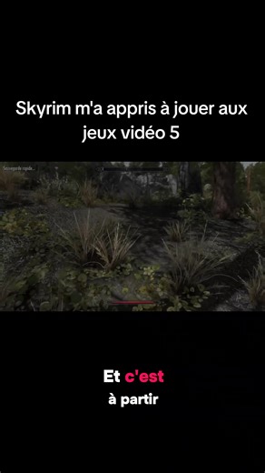 Skyrim : Mon Apprentissage des Jeux Vidéo