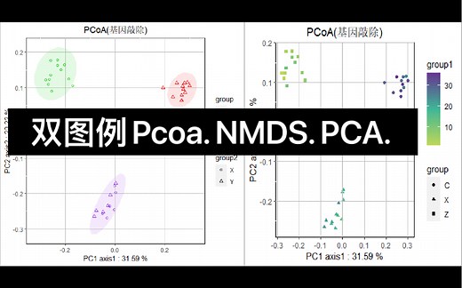 R语言保姆级教程/Pcoa. NMDS. PCA. /双图例