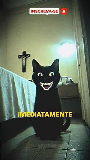 WHAT'S IN YOUR BED ISN'T YOUR CAT #horror #cats