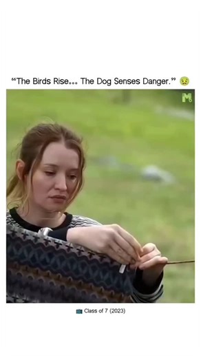 moonlight film on Instagram: "📺 CLASS OF ’07 (2023) What if your school reunion turned into the end of the world? When a group of former classmates reunite, a sudden apocalyptic flood traps them together on a hilltop. Old grudges resurface. Secrets explode. Friendships are tested as survival becomes the only goal. High school drama meets end-of-the-world chaos — Class of ’07 is funny, messy, emotional, and brutally honest about who we become under pressure. 🌊💥 📺 Genre: Comedy • Drama • Apoca