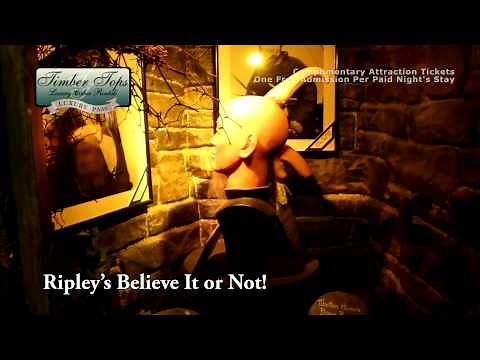 Timber Tops Luxury Cabin Rentals