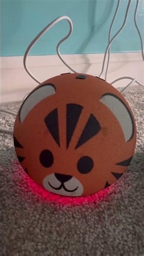 2 out of 5 Echo devices lost connection