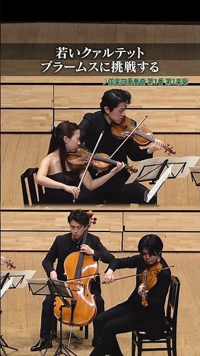 Brahms "String Quartet No. 1, 1st Movement" #quartet #violin