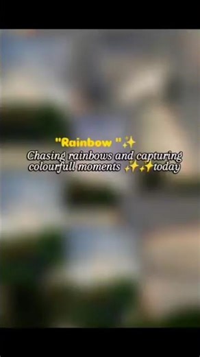 Chasing colours, finding calm