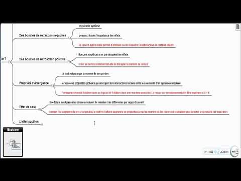 Qu'est ce que la pensée systémique, les systèmes complexes - Donella Meadows