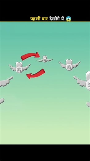 Why Do Birds Fly In V Shape 😲 | #shorts