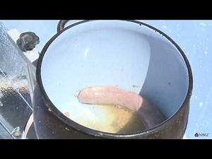 Solar cooking using the sun-A clean and free way to cook