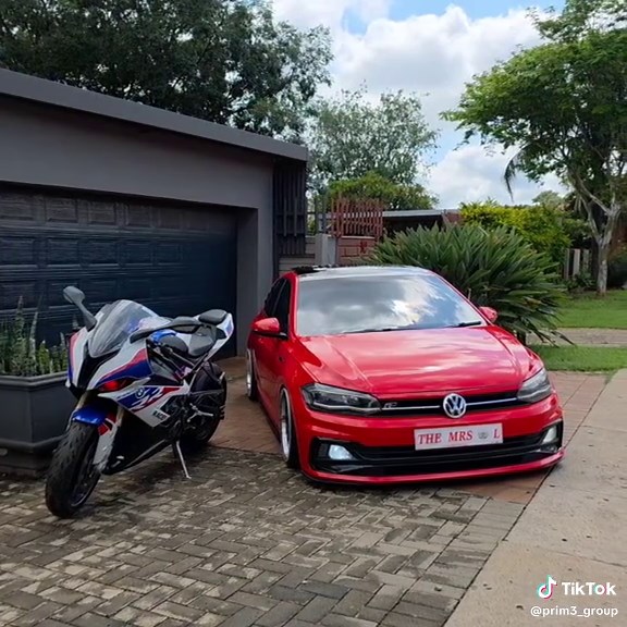 Exploring Different Species of Bikes