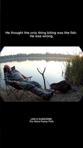 HILARIOUS Fishing FAIL: Beaver Steals Rod from Sleeping Fisherman!