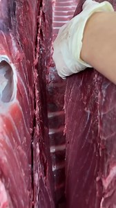 What We Found in Tuna Will Shock You! 😨😨😨 | Hiroyuki Terada - Sushi Master
