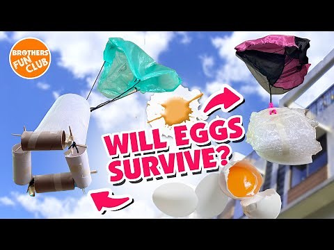 Egg Drop Challenge : Will They Crack? EXPERIMENTS FOR KIDS AT HOME