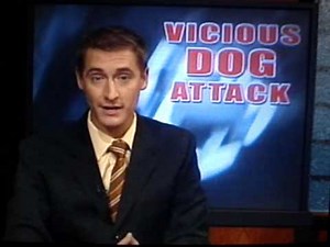 Bull Mastiff attacks boy (Graphic Picture)