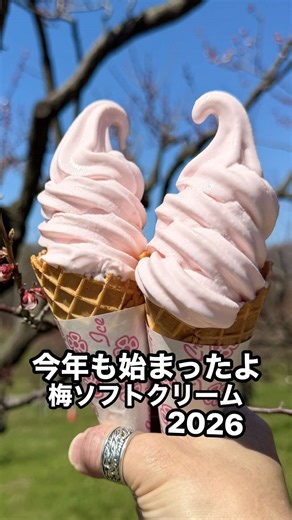 ・毎年大人気の梅ソフト‼️ 昨日訪問したのが 地下鉄大谷地駅から徒歩約1時間 平岡公園（平岡梅林公園） 平岡公園名物 梅まつり限定 【ひらおか梅ほんぽ】さんの 『梅ソフト』1本 ・・・¥450 （去年は1本¥400） 去年は咲いた頃に訪問✨✨ しかし激混み🤭約40分待ちで 梅ソフトいただきましたが 昨日は初日だったので 並び０人で美味しくいただけたよ 梅はやっぱり初日は数本しか咲いてないけど 天気が良くて最高だったよ 梅まつり今年は（4月25日〜5月10日予的だよ） 🌳🌳🌳🌳🌳🌳🌳🌳🌳🌳🌳🌳🌳🌳🌳 【住所】札幌市清田区平岡公園1番地1号 駐車場600台 （9:00〜16:30） 🌳🌳🌳🌳🌳🌳🌳🌳🌳🌳🌳🌳🌳🌳🌳 #平岡公園#梅ソフト#札幌ソフトクリーム #札幌スイーツ#札幌スイーツ巡り 🌳🌳🌳🌳🌳🌳🌳🌳🌳🌳🌳🌳🌳🌳🌳