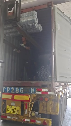 Durable Hot-Dip Galvanized Field Fence for Farms