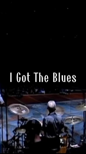 Muddy Waters: 'Champagne and Reefer' Lyrics Explored
