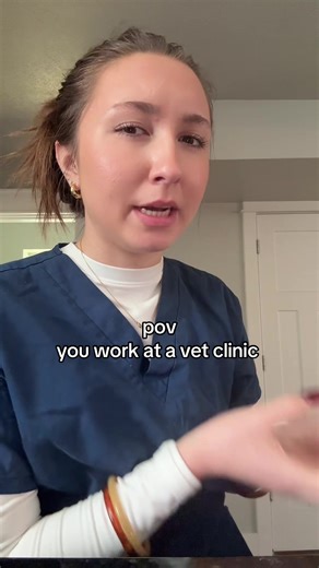 Why Half the Population Shouldn't Own Pets: A Vet's Perspective