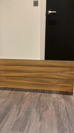 This was so hectic to film bc mishti was not in a jumping mood. FYI she xan jump higher than this she just chose not to