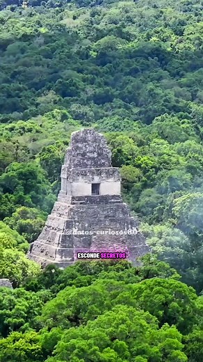 Explorando las Ruinas de Tikal en Guatemala