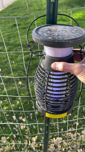 Zap the bugs to feed your chickens more protien! This one is solar powered which is great because I can put it anywhere in the run that gets full sun. #chickenprotien #bugzapper #solarpoweredsolutions #backyardchickens #utahchickens
