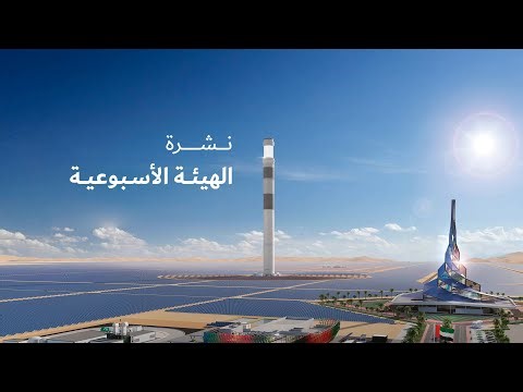 نشرة الهيئة الأسبوعية - يناير 17