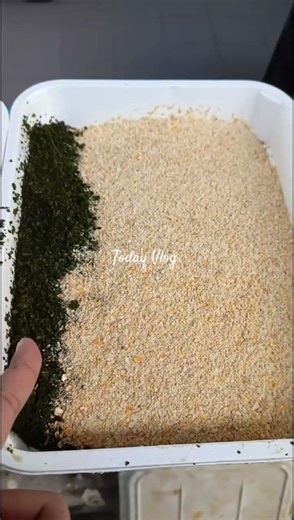 New Duck Setup Ready! My Ducks Love Their New Home 🦆 #DuckFarm #DuckLife #FarmReels #RaisingDucks