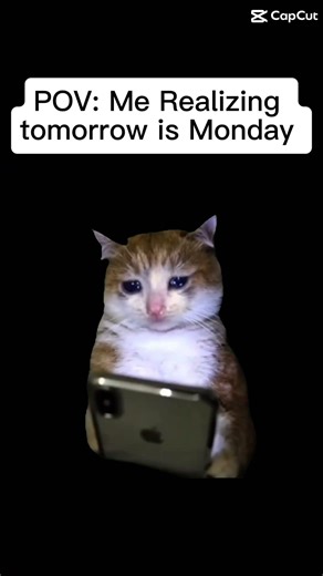 #relatable #funny #memes