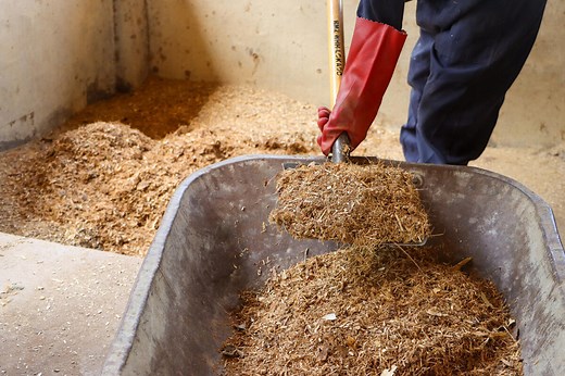 Sustainable bioenergy | Energy | Food and Agriculture Organization of the UN