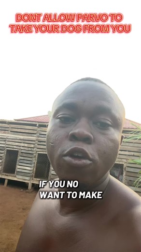 Prevent Parvo: Protect Your Puppies from Disease