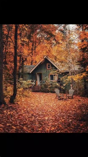 Falling in love with Autumn 🍁🍁🍁 | Spectrum