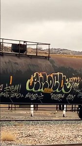 🚂 Train with graffiti spray paint passing loud railroad crossing