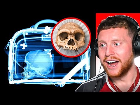MOST INSANE THINGS FOUND BY AIRPORT SECURITY