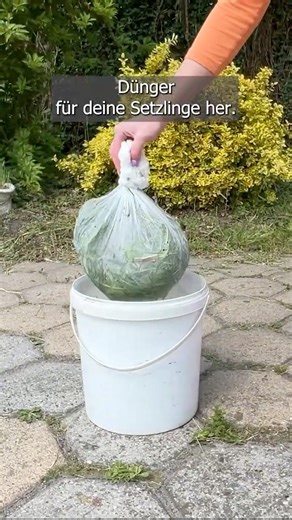 Turn garden waste into fuel for fast-growing plants!