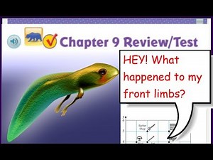 Go Math 5th Grade Chapter 9 Review Part 2 UPDATED