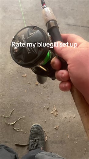 Evaluate My Bluegill Fishing Setup