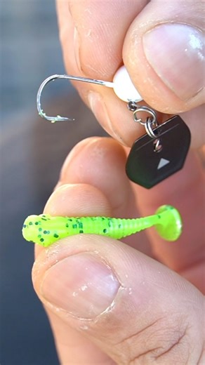 Create your own Chatter Bait with the FS Chatter Blades 👌🏻 #sprofreestyle #fishingphotography #fishingislife #streetfishing #tutorial #fishon #finessefishing #livebite #gamakatsuhooks #fishinglure #gamakatsu #fishingknots #angeln #fishing #barsch #dropshotrig #fishinglife #reels #sprofishing #fishinglife #instafish #reelsinstagram #raubfischangeln #reelsinstagram #relatable | SPRO Freestyle