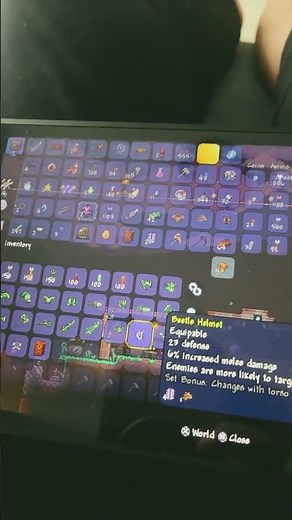 Getting the beetle armor in terraria
