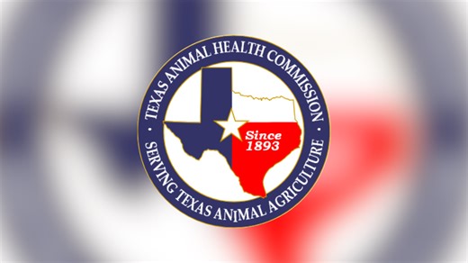 First anthrax case of the year confirmed in Texas steer