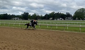 Some serious star power on the Oklahoma training track this morning! Kentucky Derby winner SOVEREIGNTY worked out in company with Whitney Stakes winner and fellow Bill Mott trainee ARTHUR'S RIDE this morning in Saratoga. | Belmont Stakes