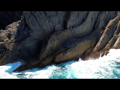 HUGE SAMSON FISH Cliffs Fishing