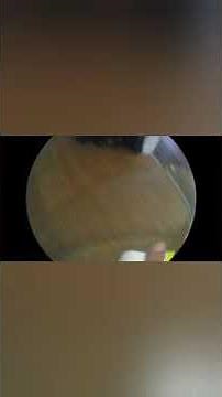 Swashbuckle Season 3 Episode 6